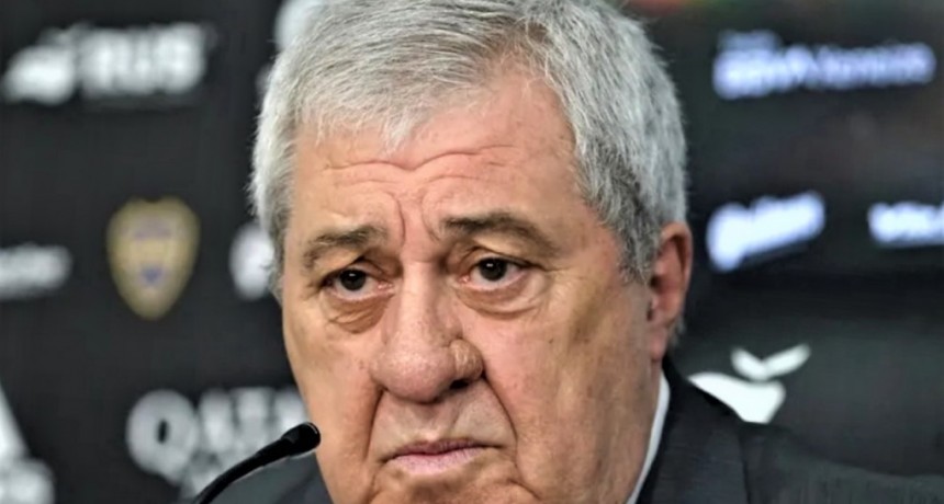  Ameal: "Macri le hizo mucho da&ntilde;o a Boca y al pa&iacute;s"