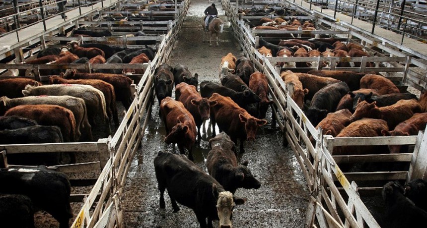 Semana histórica para la ganadería: tras 122 años cerró Liniers y comienza una nueva era en Cañuelas