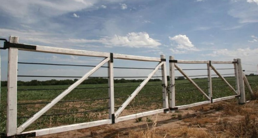 El aumento de los alquileres reactiva la actividad inmobiliaria rural