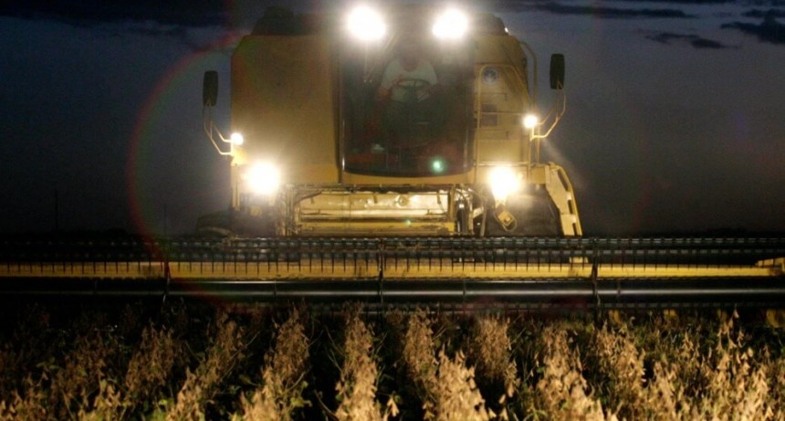 Para el olvido: en la zona centro, la producción de soja fue la menor en 14 años