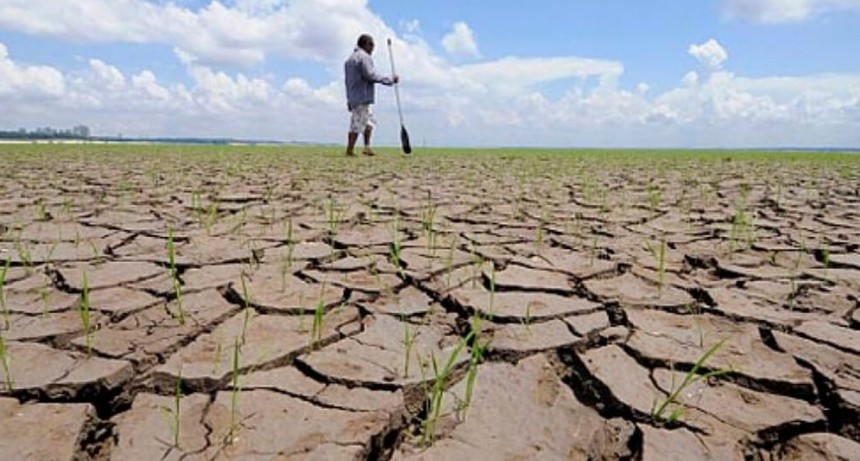 Neuquén, otra provincia con declaración de emergencia agropecuaria de alcance nacional