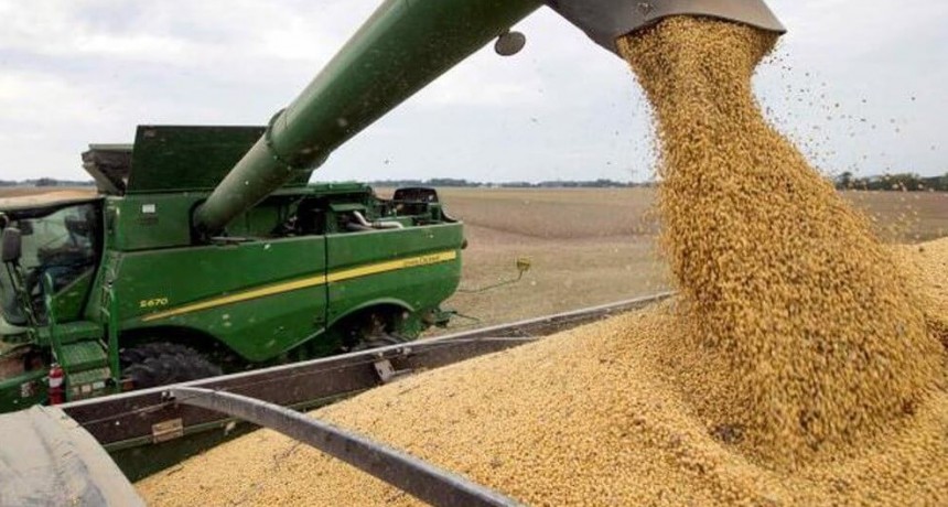 “El modelo actual alcanzó su límite”: una entidad del campo presentó sus propuestas para la Argentina 2024