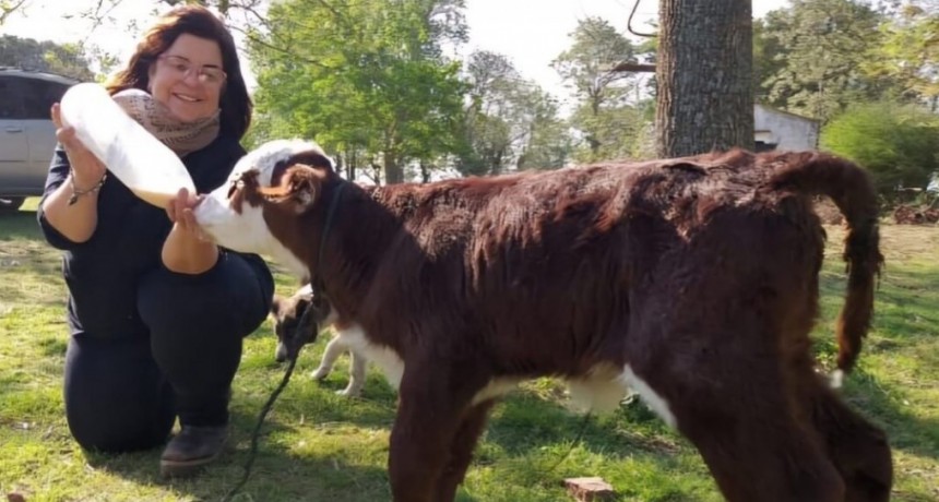 Gaby, la criadora Hereford que creció en el conurbano y hoy preside una Rural en Entre Ríos