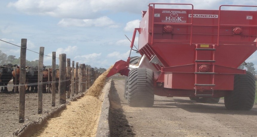 La tasa de interés baja y la rentabilidad sube: los feedlots vuelven a ganar dinero