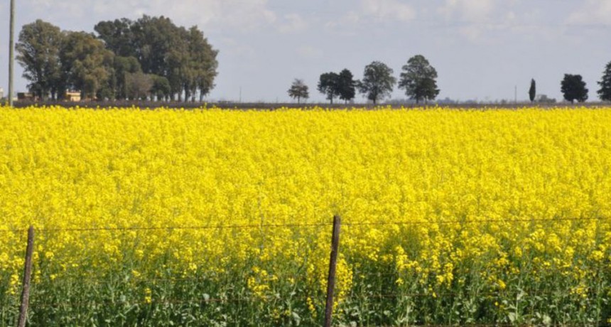 INTA, pudo enfrentar la sequía que afectó a la región con mayor intensidad durante el 2023.