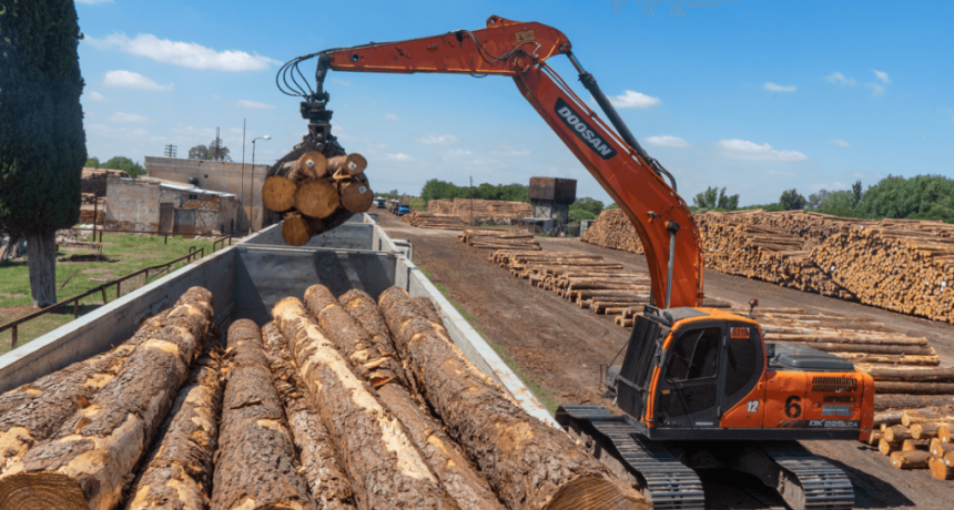 La industria forestal quiere construir más exportaciones y ve en Ucrania una oportunidad