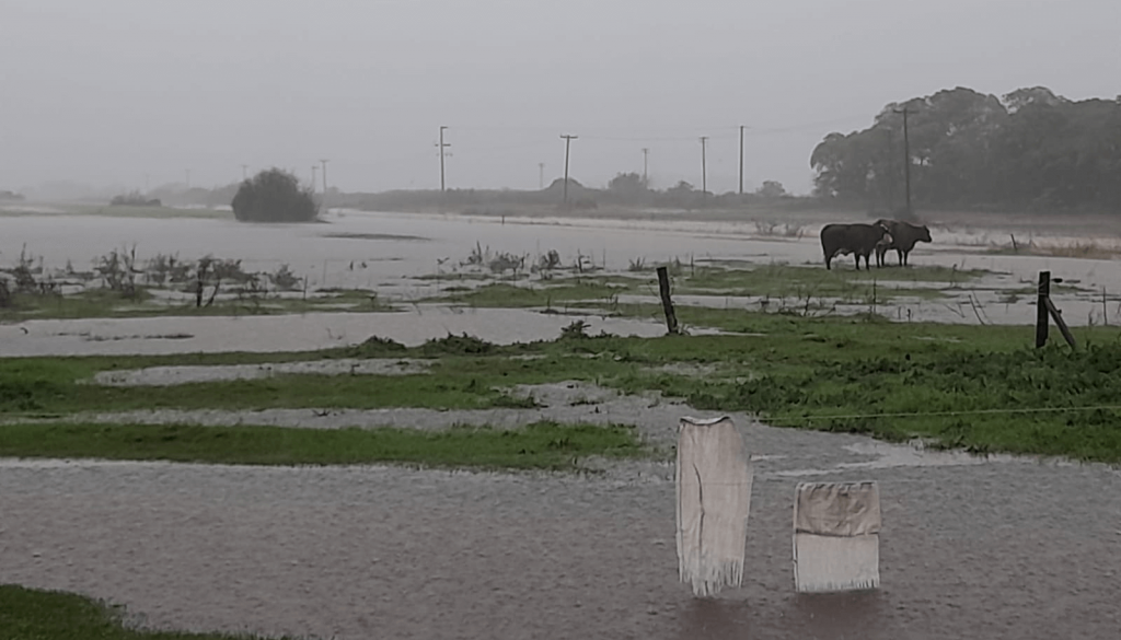 Más lluvias y suelos saturados en el norte bonaerense: “No podrán absorber nada más por unas semanas”