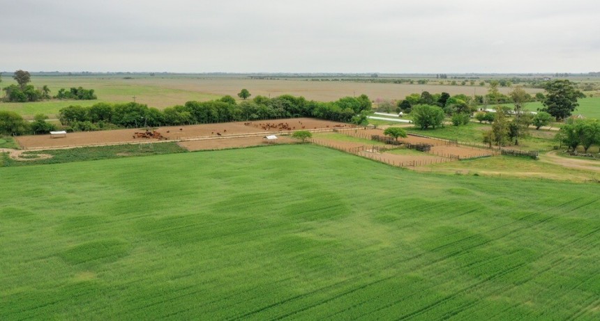 Mercado inmobiliario rural: “Todo indica que los activos, incluida la tierra, van a mejorar su valor”
