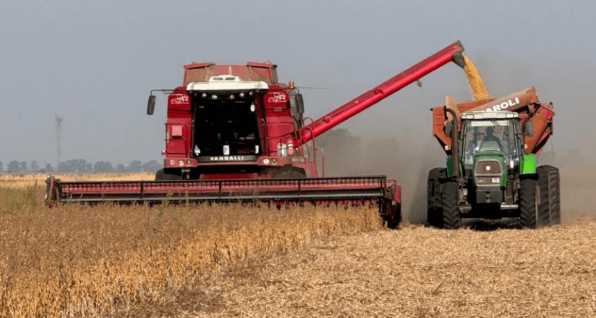 Por los altos rindes, aumenta la proyección de cosecha de soja: 50 millones de toneladas