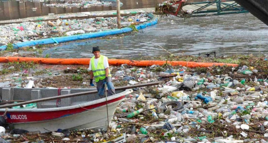 Pista de Nacional de Remo: el Municipio de Tigre solicitó la reposición de las mangas de contención flotantes