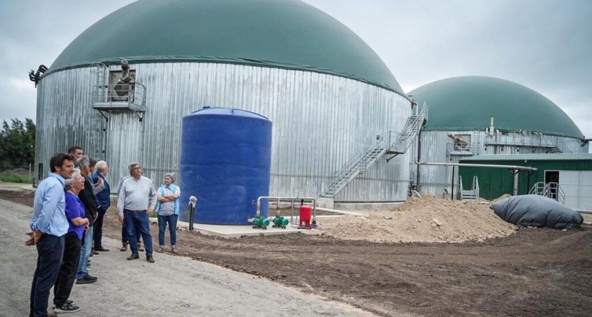 En Coronel Brandsen, los huevos ya generan energía y también pueden alimentar a los cultivos