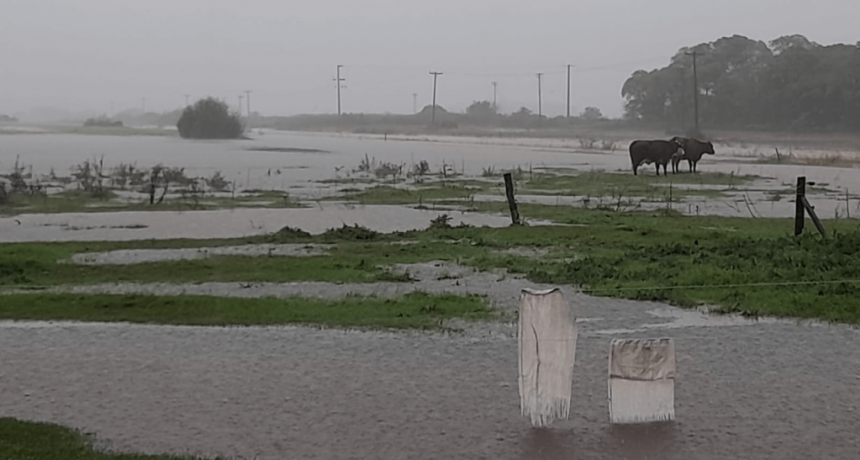 Un desastre en pleno otoño: Buenos Aires bajo el agua y hay alerta rojo por más lluvias