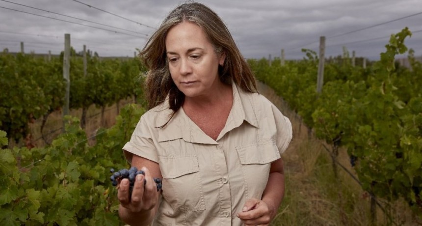 “Todos los días intento emocionar con los vinos”: Mariela, la enóloga, agrónoma y docente que torció la historia
