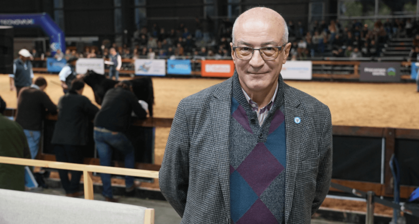 Un buen momento ganadero: “Hacía mucho que con una jaula de novillos no te comprabas una camioneta”