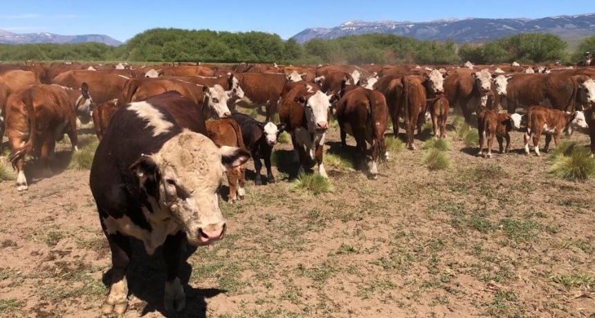 La Patagonia sigue en guardia por la barrera sanitaria: “Fue una medida sorpresiva y avasallante”