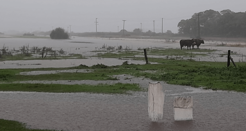 Más lluvias y suelos saturados en el norte bonaerense: “No podrán absorber nada más por unas semanas”