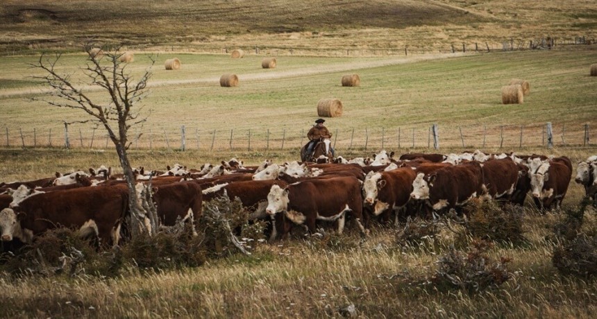 La Patagonia endurece su postura sobre la barrera sanitaria: “Podría significar el abandono de los campos”
