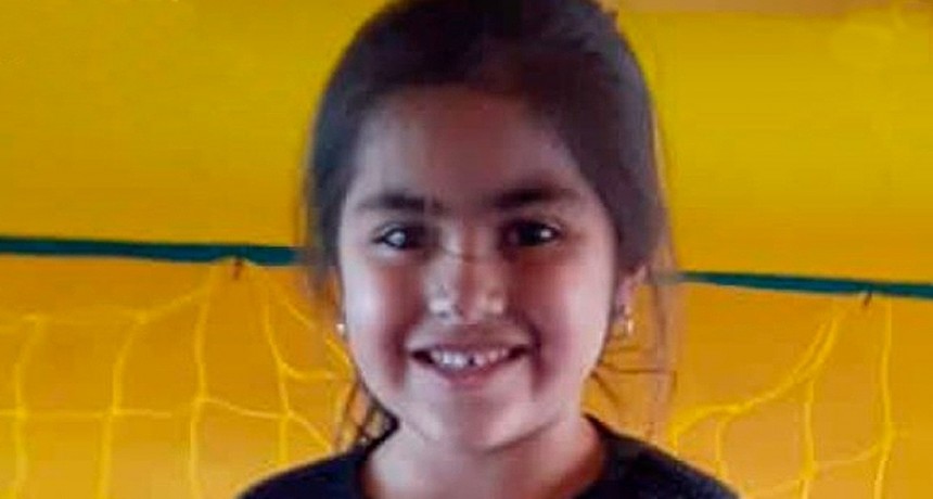 Se activó el Alerta Sofía y realizaron más de 80 allanamientos pero no hay rastros de Guadalupe