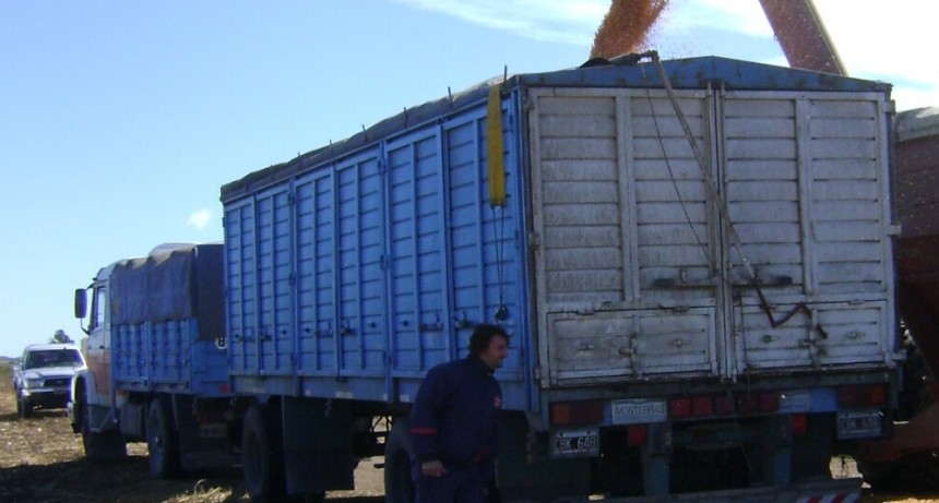 “Pasan las horas y el gasoil no aparece: le aviso al maíz listo para cosechar que aguante”
