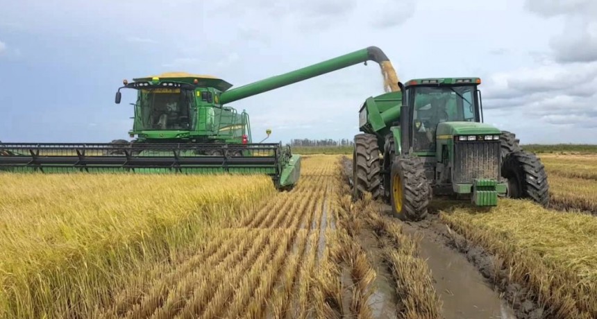 Argentina y Cuba avanzan en acciones de cooperación agropecuaria mutua