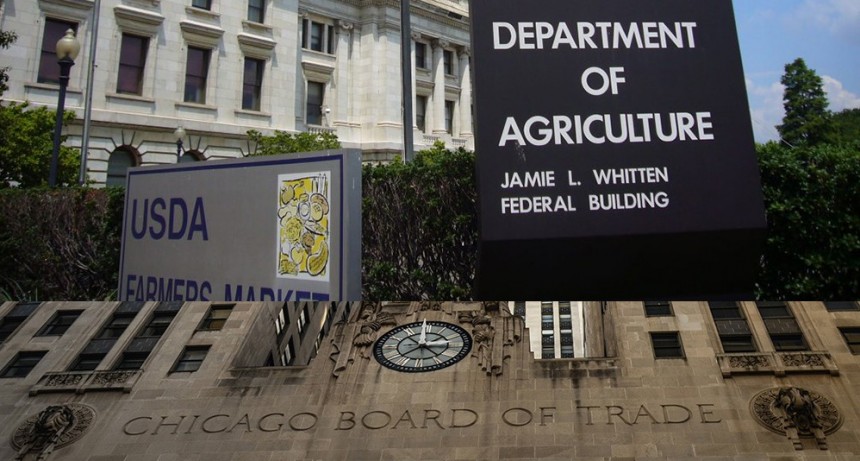 Tras rozar su precio récord, hubo toma de ganancias en Chicago y bajó la soja