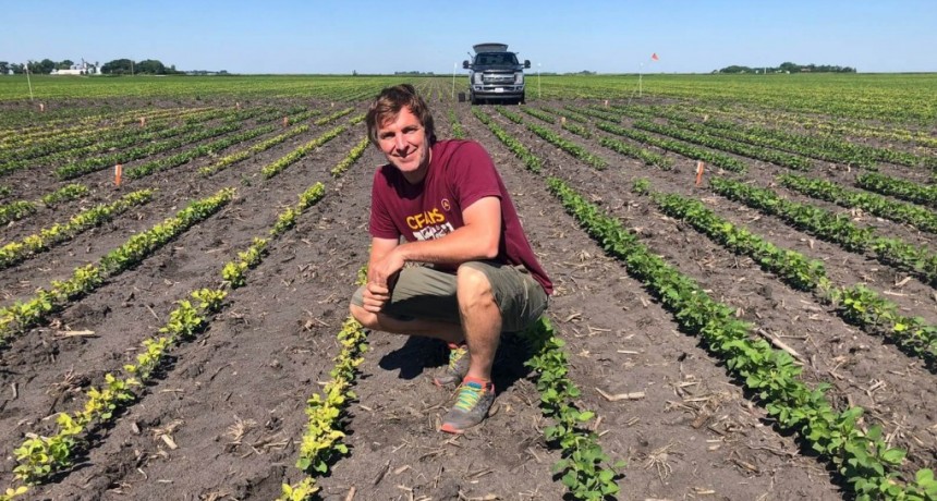 La historia de Aníbal, un investigador argentino que se mudó a Minnesota para estudiar la soja