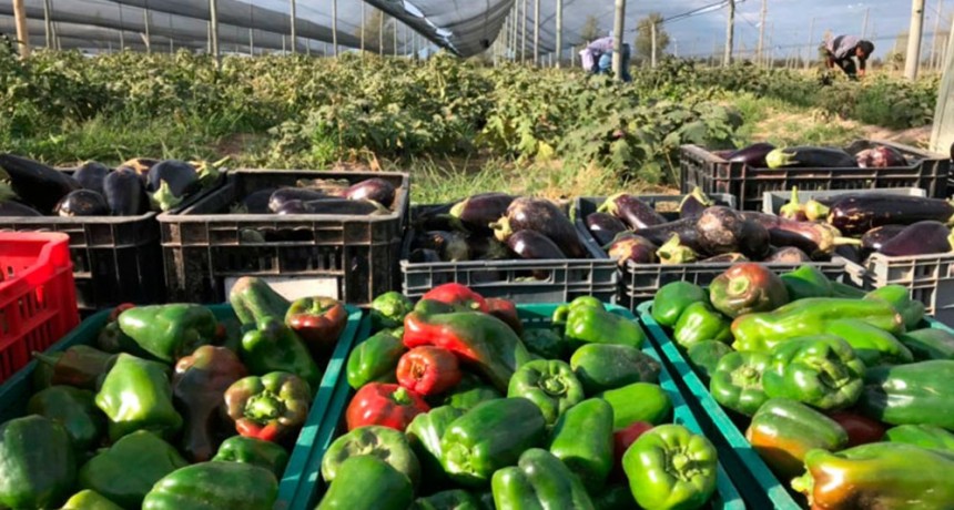 La suba de costos mantiene en “rojo” a la gran mayoría de las economías regionales