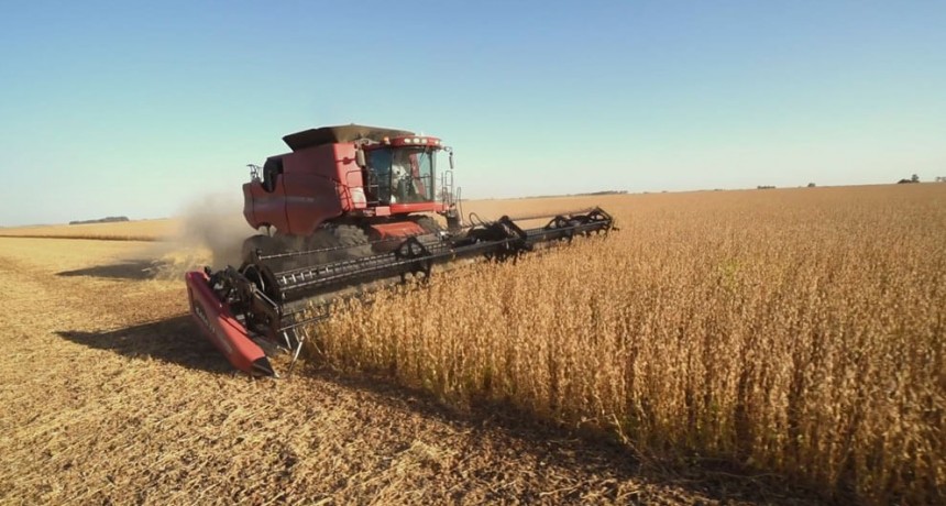 Terminó la cosecha de soja: al final, La Niña no se portó tan mal