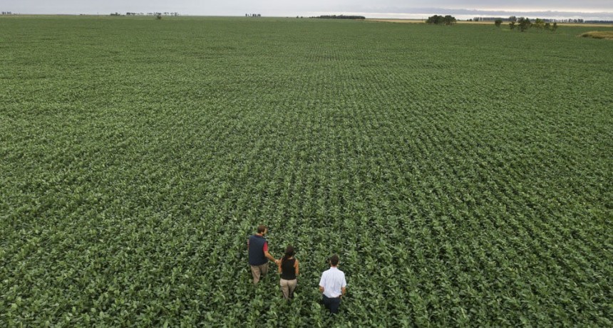 La agricultura de precisión, en el camino hacia cuadruplicarse en los próximos cinco años