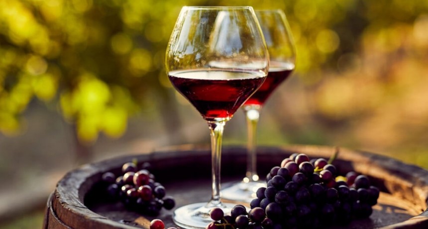 “No funcionó”: la cadena del vino pide cambios en el ‘dólar agro’