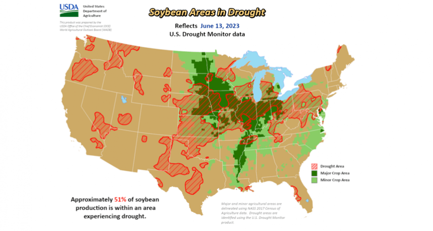 La mitad de la soja de EE.UU. está bajo sequía y el precio reaccionó al alza
