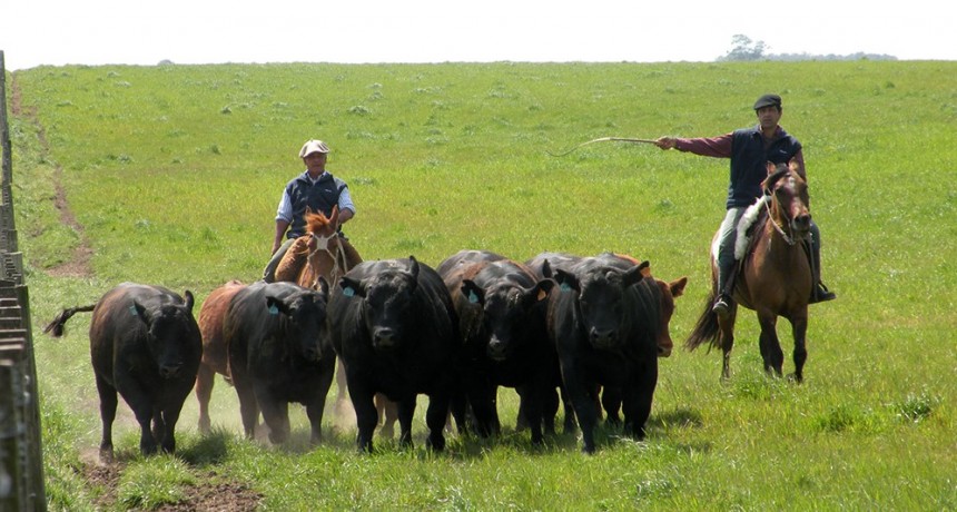 Trabajadores rurales: desde el Renatre aseguran que no hay un aumento del desempleo