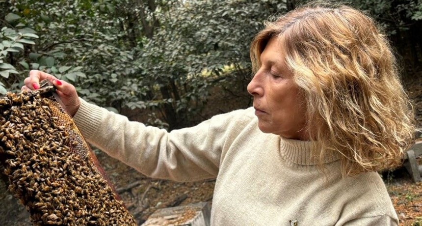 A los 11 años comenzó con su primera colmena y nunca más paró: Marisel, la “reina” de las abejas