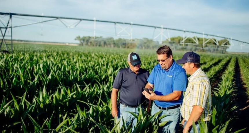 Noticias y tendencias del agro: alertas por WhatsApp, un nuevo canal informativo de Infocampo