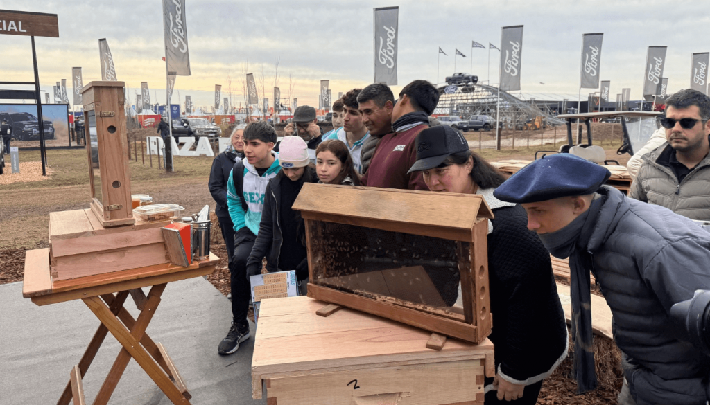 “Detectives de colmena”: las abejas tienen quién las defienda