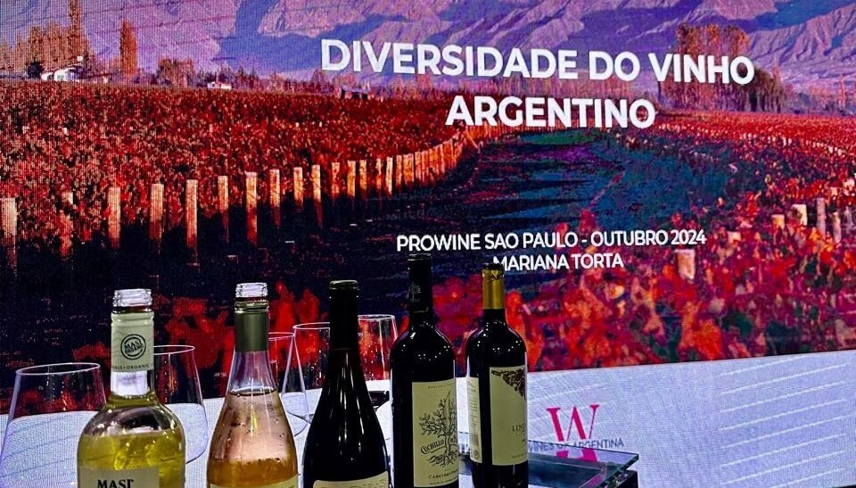 El mercado de vinos se consolida en Brasil y presenta una oportunidad única para Argentina
