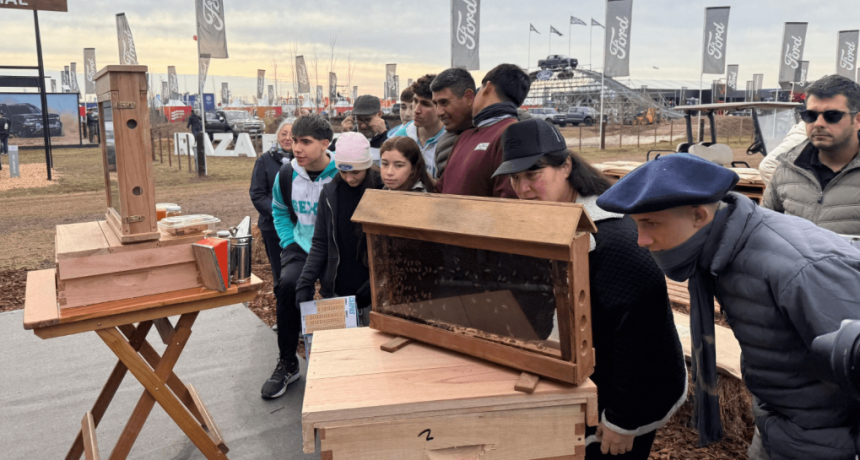 “Detectives de colmena”: las abejas tienen quién las defienda