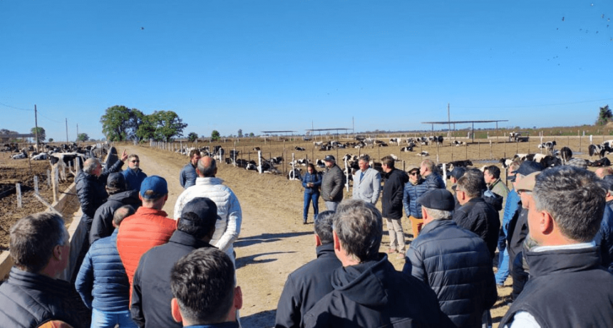 Ganadería asociativa: en Humboldt se inauguró el primer feedlot cooperativo del país