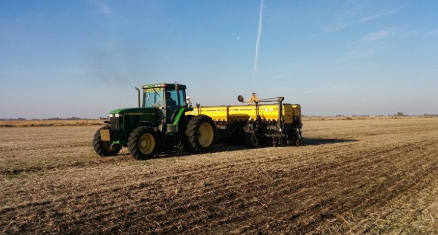 Día de la Agricultura Nacional, una fecha que homenajea a la producción agrícola en Argentina