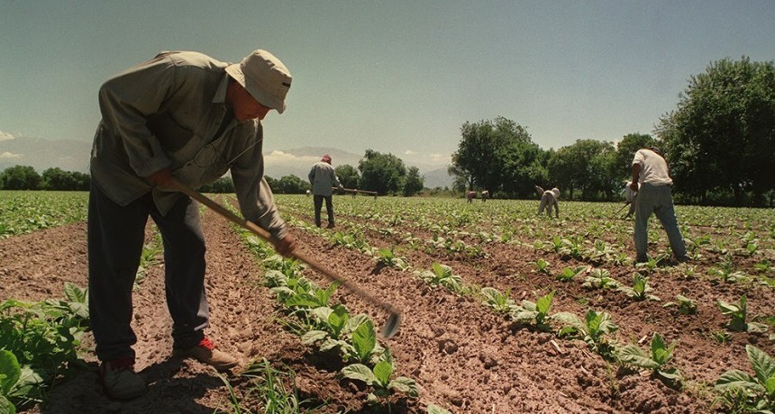 Vacunación: piden hacer especial foco en productores y trabajadores rurales