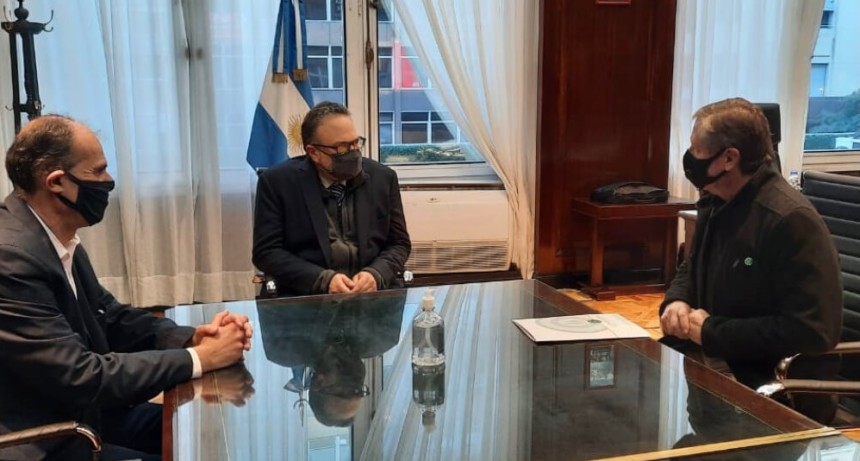 “Un Plan Ganadero no va a solucionar los temas aunque podría contribuir a elevar la oferta de carne”