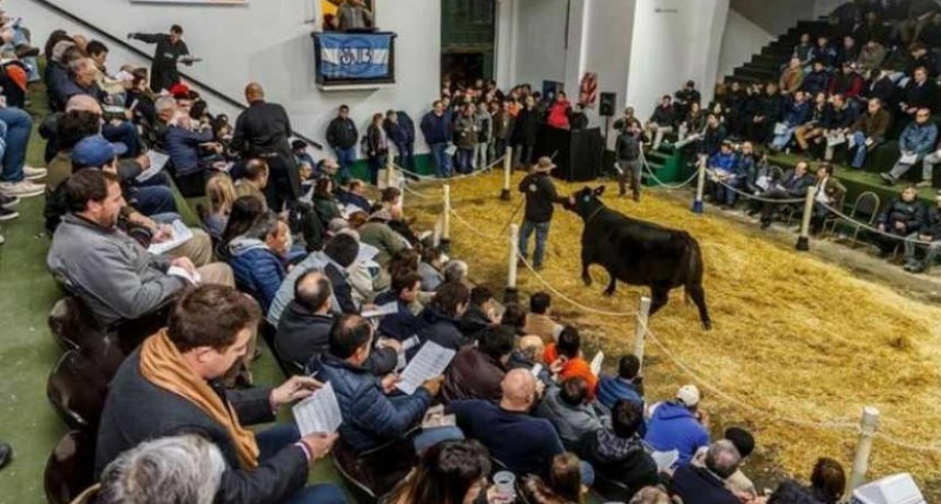 Volverán los remates de la Sociedad Rural Argentina en el predio de La Rural; en este caso, con un aporte solidario a la educación