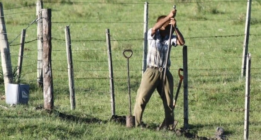 Cámara Argentina de Fabricantes de Maquinaria Agrícola 