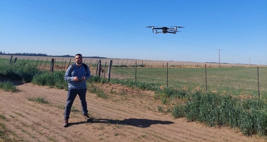 Con la asistencia de drones, los rindes de trigo y cebada “vuelan”