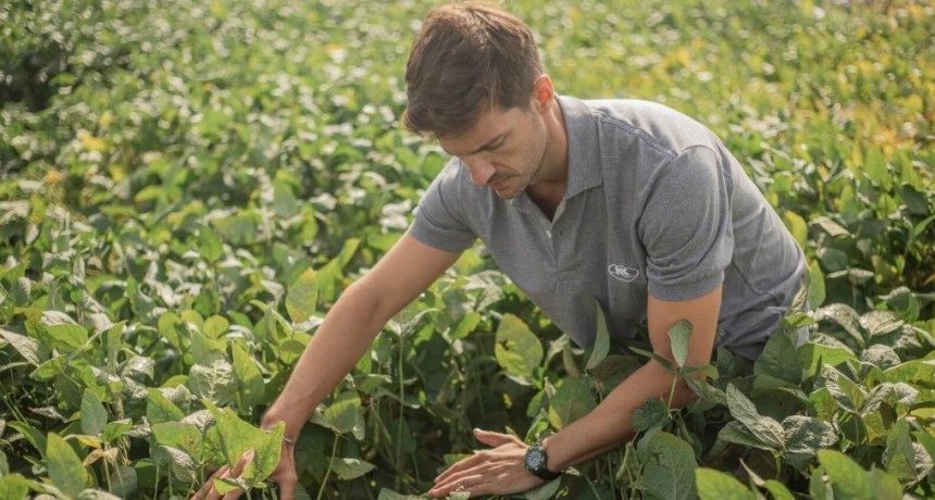 Para la próxima campaña, la soja ya empieza a incorporar “refuerzos”