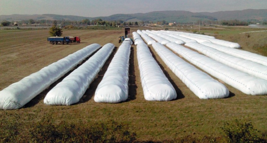 Comenzó la temporada de enfermedades: ¿cuáles son las que más están afectando en cada región?