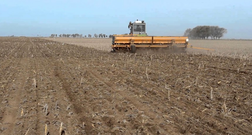 La cebada tom&oacute; impulso en el sur y termin&oacute; la siembra con m&aacute;s hect&aacute;reas que el a&ntilde;o pasado