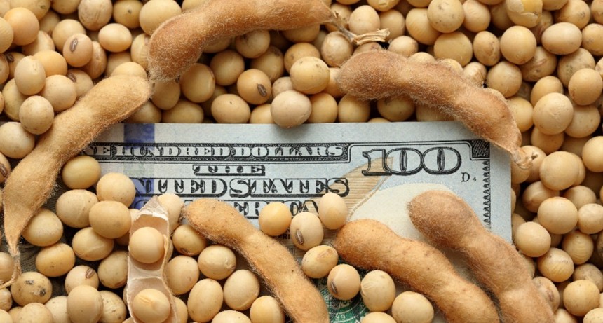 ¿El problema es el campo?: los argentinos acumulan en dólares el equivalente al PBI de siete cosechas