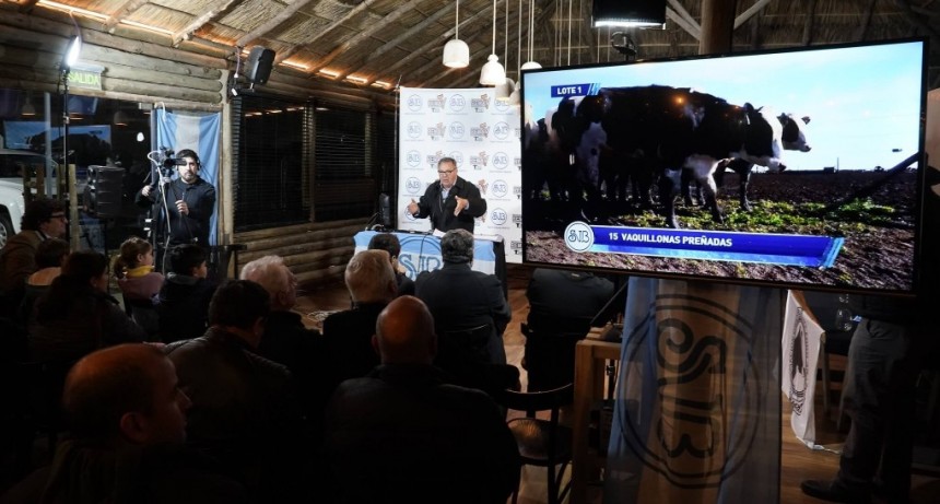 La Rural 2023 movilizó más de $ 8.000 millones en los remates ganaderos