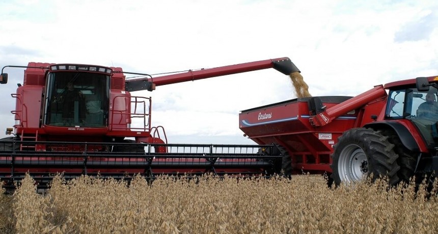 Finalizó la cosecha de soja: 50,5 millones de toneladas, más del doble que el año pasado